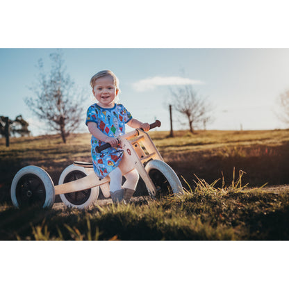 3in1 Convertible Trike to Bike