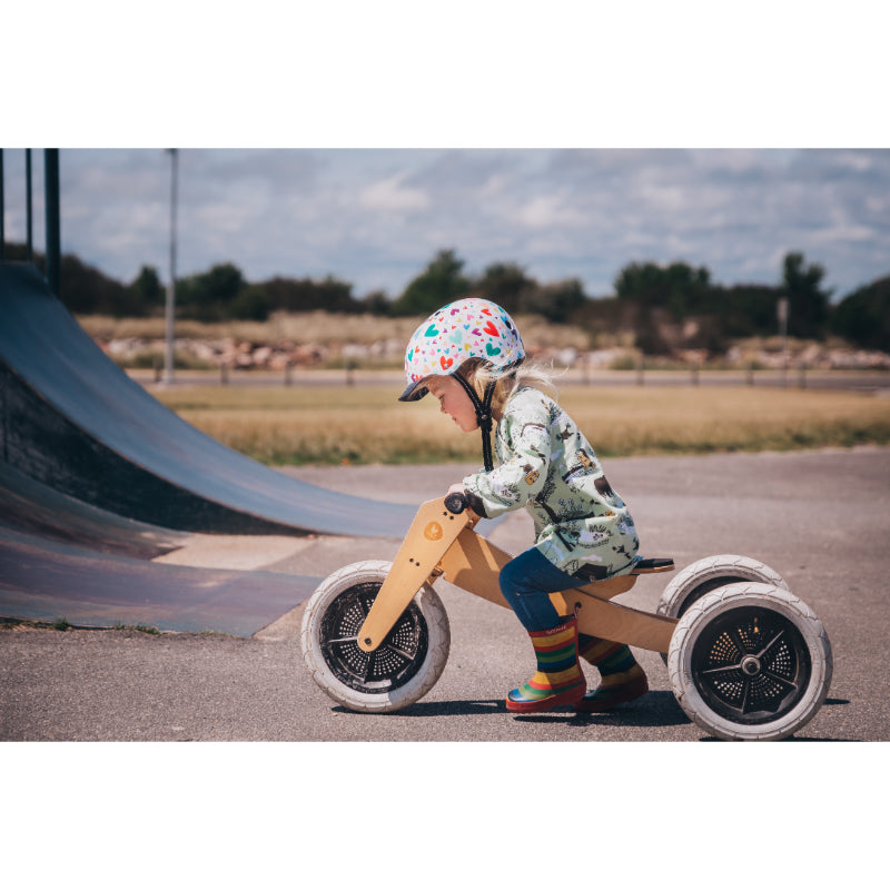 3in1 Convertible Trike to Bike