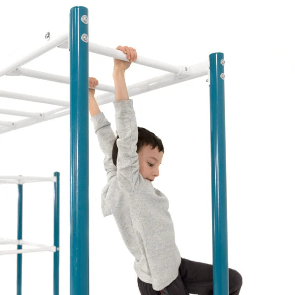 Monkey Bars Module 2.0