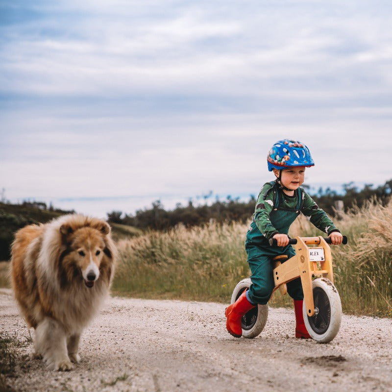 2in1 Balance Bike