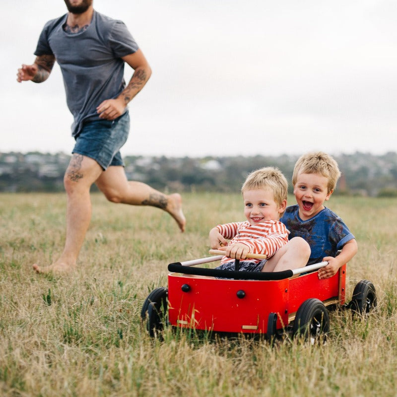 3in1 Wagon