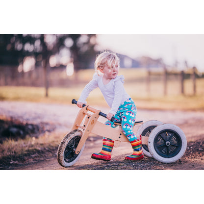 3in1 Convertible Trike to Bike