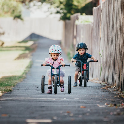 Wishbone 3in1 Bike: Recycled Edition