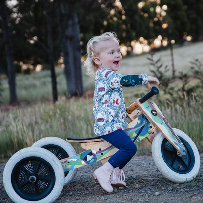 3in1 Convertible Trike to Bike