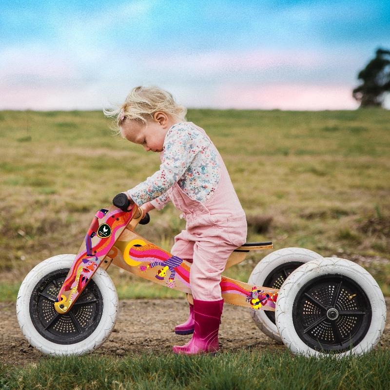 3in1 Convertible Trike to Bike