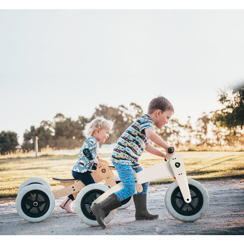 3in1 Convertible Trike to Bike