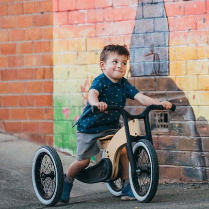 Cruise Trike-Bike Convertible