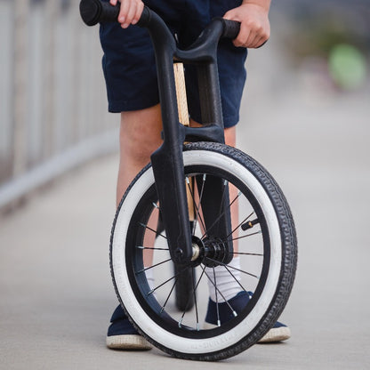 Cruise Trike-Bike Convertible