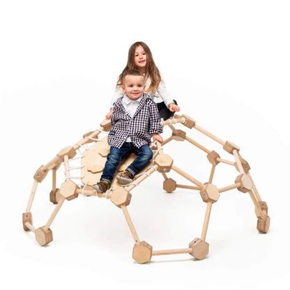 Wooden Climbing Dome